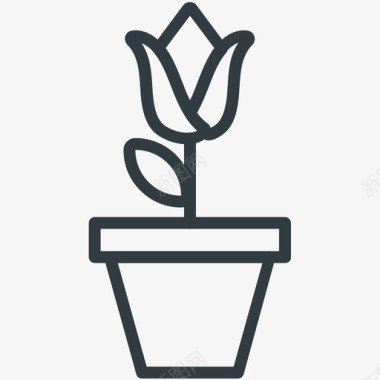 郁金香植物自然线图标图标