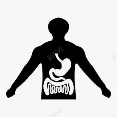 消化系统胃器官图标图标