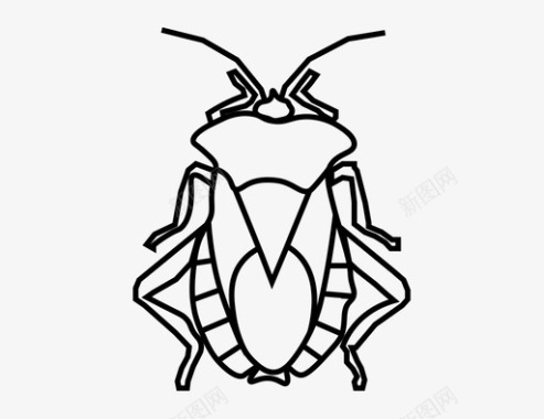 甲虫臭虫昆虫图标图标