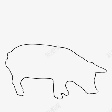 雄性猪动物图标图标