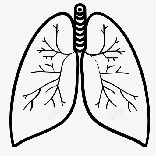 肺空气身体图标svg_新图网 https://ixintu.com 人类 健康 呼吸 空气 肺 身体