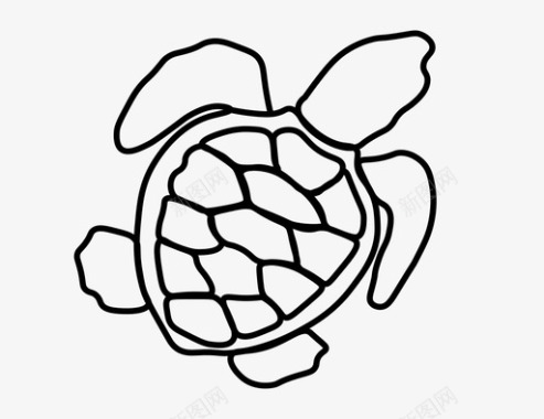 海龟游泳贝壳图标图标