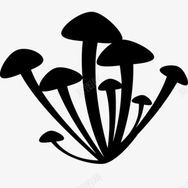 蘑菇真菌生长图标图标