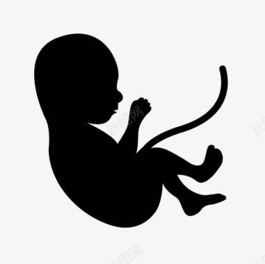 胚胎婴儿生长图标图标