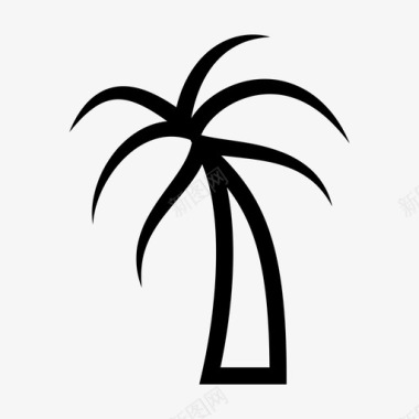 棕榈树研究天堂图标图标