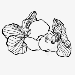 说明性花美丽开花图标高清图片