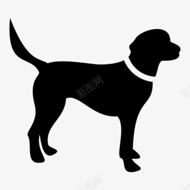 狗动物项圈图标图标