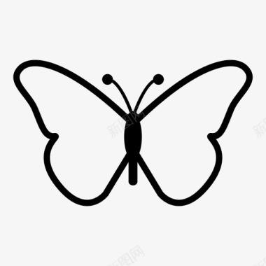 蝴蝶美丽昆虫图标图标