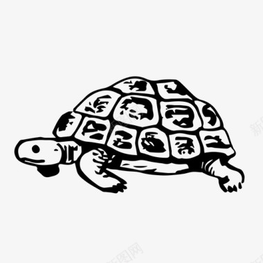 乌龟忍者种族图标图标