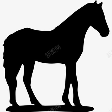 马黑面轮廓动物马3图标图标