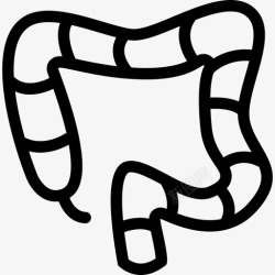 小肠结肠的轮廓结肠轮廓器官图标高清图片