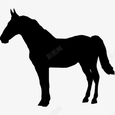 马黑色的形状站在左边动物马3图标图标
