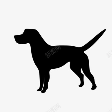 拉布拉多动物狗图标图标
