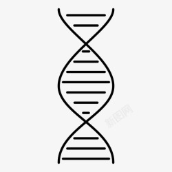 基因组成dna遗传螺旋图标高清图片
