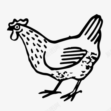 母鸡鸡肉鸡蛋图标图标