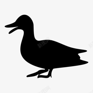 鸭子动物1图标图标