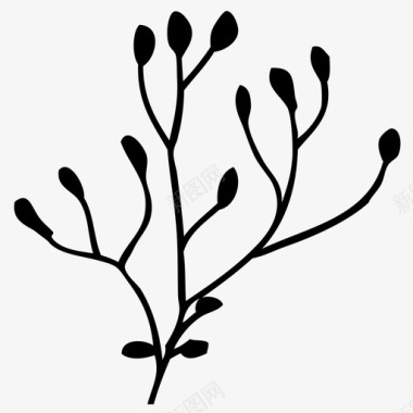 芳香草本植物自然叶子图标图标