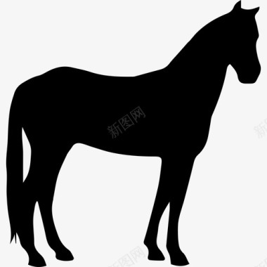 马安静的黑色轮廓动物马3图标图标