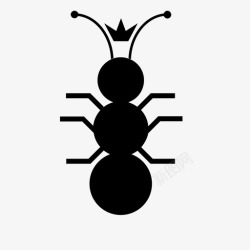 蚁后蚁后出生虫子图标高清图片