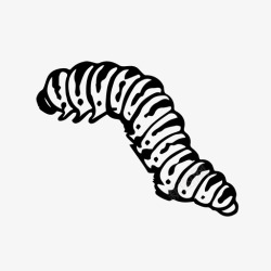 大多数幼虫毛毛虫蝴蝶幼虫图标高清图片