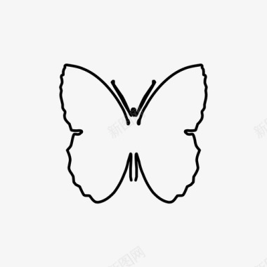 蝴蝶美丽有趣图标图标