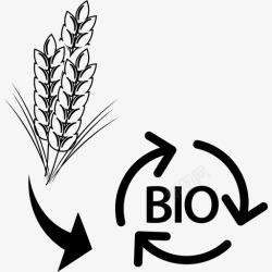 能源转化小麦废料转化为生物能源图标高清图片
