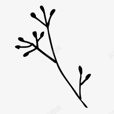 芳香草本植物叶子生长图标图标