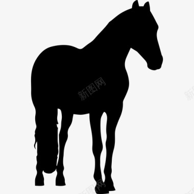 马黑色动物形状动物马3图标图标