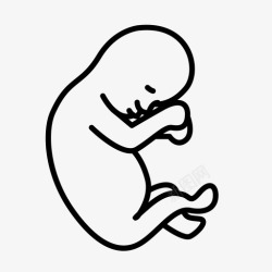 胎儿教育胚胎婴儿进化图标高清图片