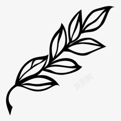 月桂枝月桂枝花环嫩枝图标高清图片
