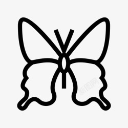 蝴蝶的滑翔机蝴蝶茧扑图标高清图片