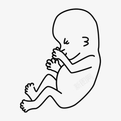 矢量胎儿成长胎儿儿童胚胎图标高清图片