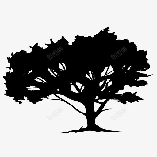 石松树生态绿色图标svg_新图网 https://ixintu.com 景观 树叶 树干 树木 水 生态 石松树 绿色 自然
