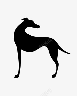 灰狗狗家养动物图标图标