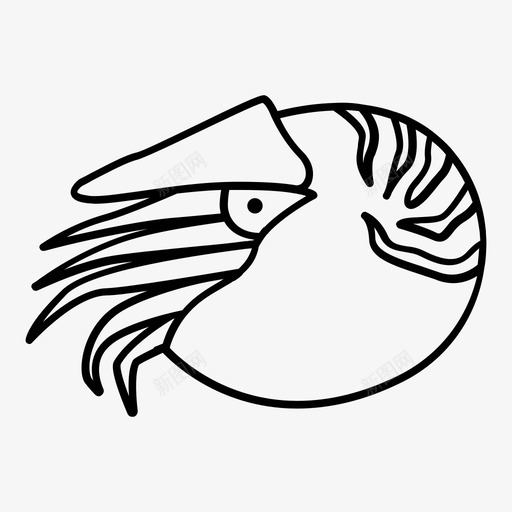 鹦鹉螺贝类海图标svg_新图网 https://ixintu.com hold 不 出售 史前 史前动物概述 头足类 海 粗体 贝类 软体动物 鹦鹉螺 黄金