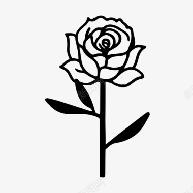 玫瑰农业植物学图标图标