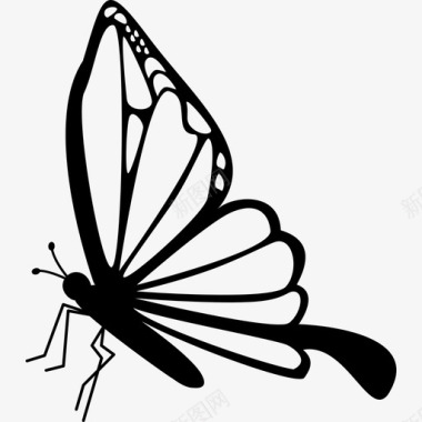 蝴蝶侧视动物蝴蝶图标图标