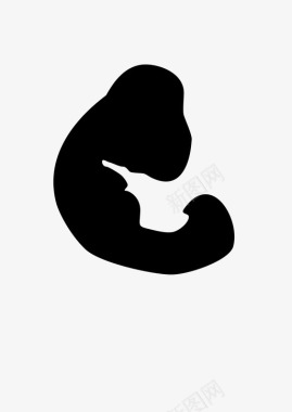 胚胎婴儿生物学图标图标