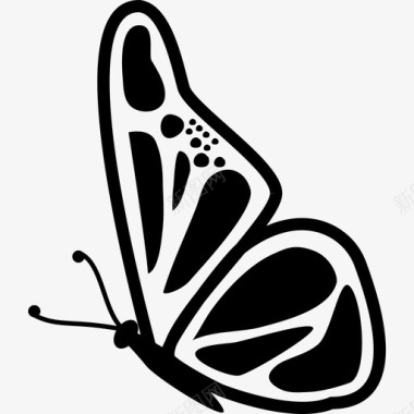 蝴蝶侧视动物蝴蝶图标图标