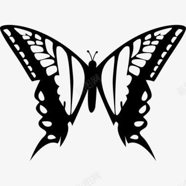 蝴蝶的两个大翅膀从顶部看动物蝴蝶图标图标