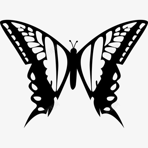 蝴蝶的两个大翅膀从顶部看动物蝴蝶图标svg_新图网 https://ixintu.com 动物 蝴蝶 蝴蝶设计的两个大翅膀从顶部看