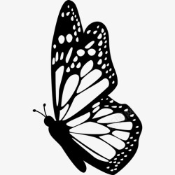 动物带口罩带详细翅膀动物蝴蝶的蝴蝶侧视图图标高清图片
