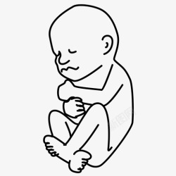 未出生的婴儿细小柔软图标高清图片