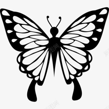 从俯视图看翅膀纤细的蝴蝶动物图标图标