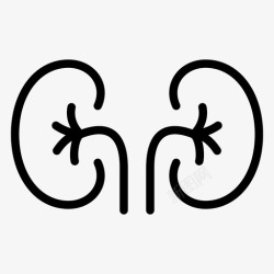 排泄系统肾脏出售器官图标高清图片