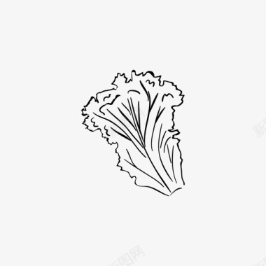 莴苣叶自然图标图标