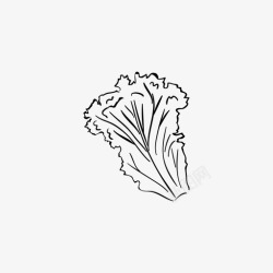 莴苣叶莴苣叶自然图标高清图片