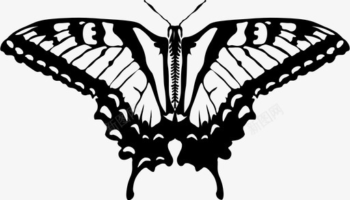 蝴蝶动物蛹图标图标