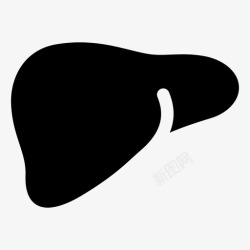 扁平化学肝脏器官医学图标高清图片