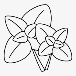 香蒜罗勒植物香蒜图标高清图片